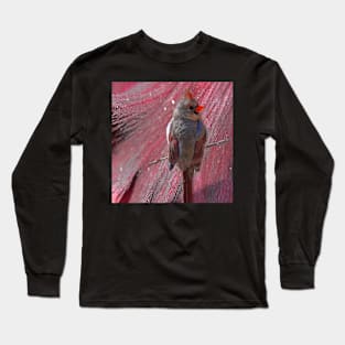 Against the Wing Long Sleeve T-Shirt